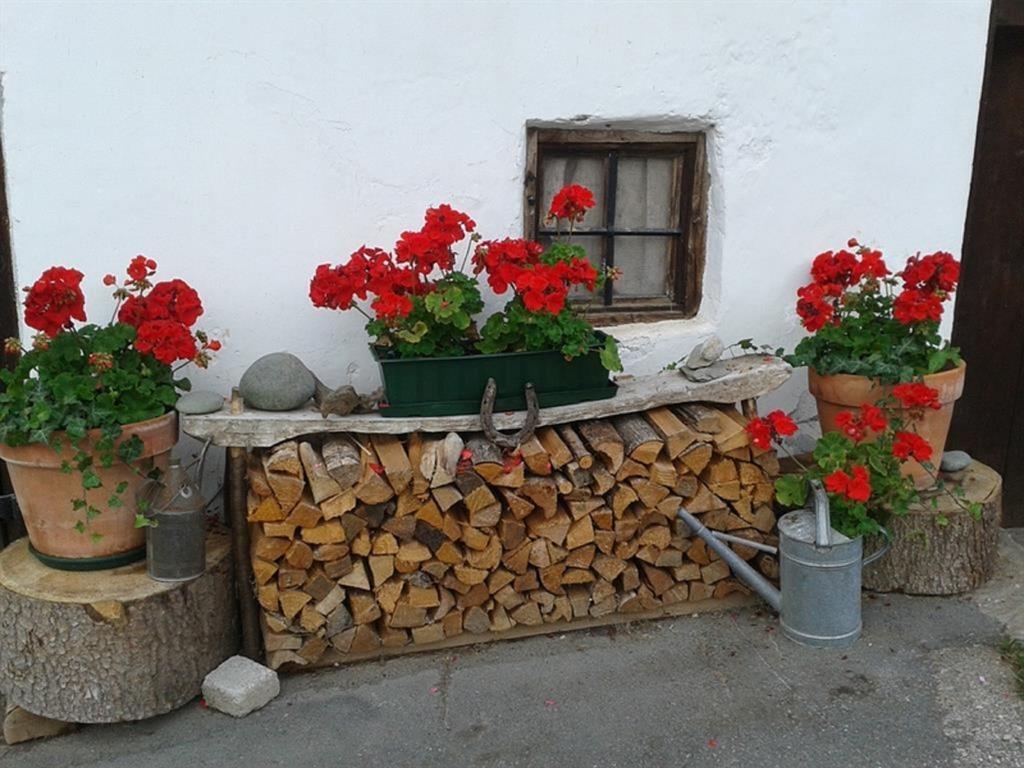 Oberseebachhof Scheffau am Wilden Kaiser Extérieur photo